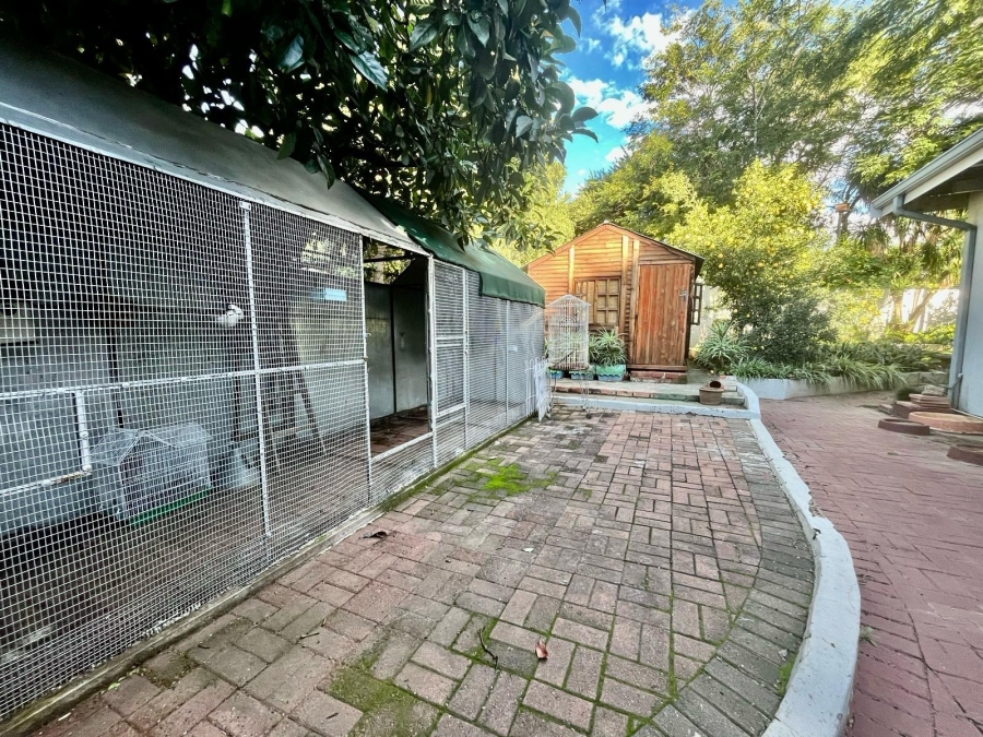 To Let 4 Bedroom Property for Rent in Protea Park North West